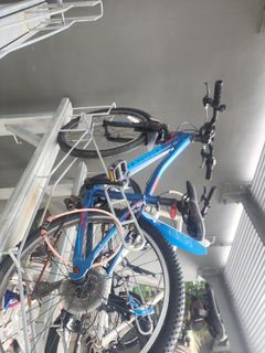 (Category: ) located in . Submitted by kinser (Listing ID 1433079448, Image 1). Description: .