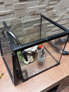 (Category: ) located in . Submitted by kittykate20 (Listing ID 1433064662, Image 1). Description: .