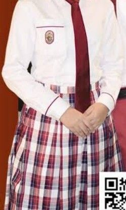 UPHSD school uniform (Category: Sets or Coordinates) located in Manila. Submitted by rianclosets (Listing ID 1433192646, Image 1). Description: 1 pc blouse - 300 2 pcs neck tie - 100 = 400 pesos.