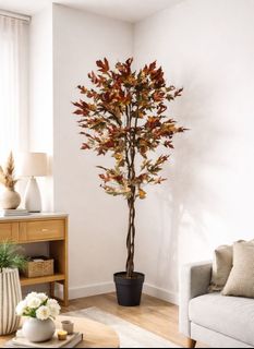 (Category: ) located in . Submitted by altonflowerscomm (Listing ID 1258826269, Image 1). Description: .