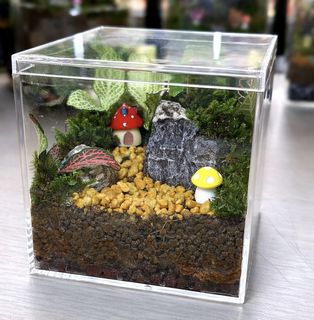 (Category: ) located in . Submitted by pocketjungle (Listing ID 1429742449, Image 1). Description: .