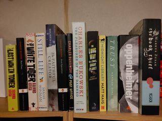 （分類：）位於 。 由 tyfung_ 提交（商品編號 1429777997，圖片 1）。簡介： 。