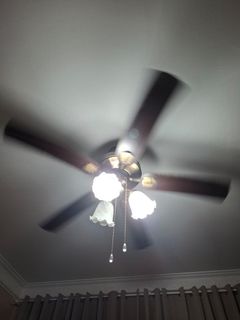 (Category: ) located in . Submitted by arun.t (Listing ID 1429796053, Image 1). Description: .