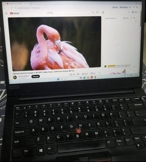 （分類：）位於 。 由 claryjay 提交（商品編號 1429696203，圖片 1）。簡介： 。