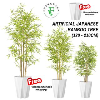 (Category: ) located in . Submitted by evergreen_gardening (Listing ID 1429717127, Image 1). Description: .
