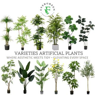 (Category: ) located in . Submitted by evergreen_gardening (Listing ID 1429748152, Image 1). Description: .