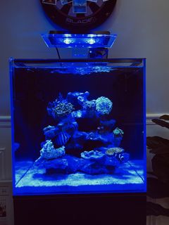 (Category: ) located in . Submitted by firdaus0009 (Listing ID 1429702031, Image 1). Description: .