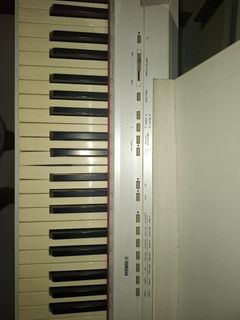 (Category: ) located in . Submitted by zepdues (Listing ID 1429759176, Image 1). Description: .
