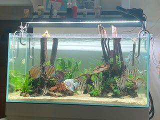(Category: ) located in . Submitted by laudunkiow (Listing ID 1433320531, Image 1). Description: .