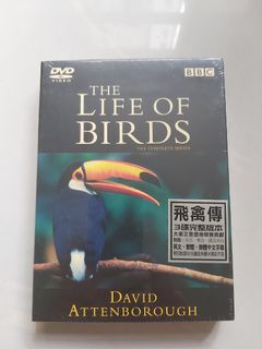 （分類：）位於 。 由 tos33 提交（商品編號 1433272390，圖片 1）。簡介： 。