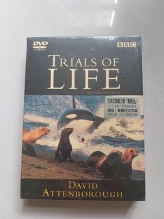 （分類：）位於 。 由 tos33 提交（商品編號 1433272498，圖片 1）。簡介： 。