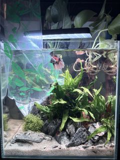(Category: ) located in . Submitted by szufayri393066 (Listing ID 1433265700, Image 1). Description: .