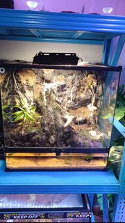 (Category: ) located in . Submitted by cakewarningbyrubi (Listing ID 1433211833, Image 1). Description: .