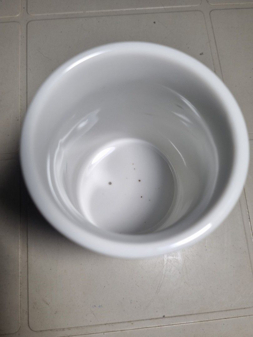 Panda Ceramic Cup (Category: Coffee & Tea Tableware) located in Quezon City. Submitted by declutter_bugg (Listing ID 1433346230, Image 3). Description: Please see photos for item's condition (with manufacturing stain defect on the inner).