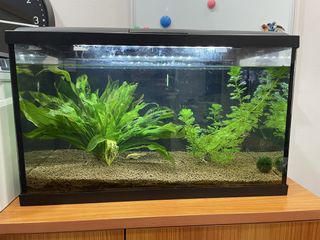(Category: ) located in . Submitted by ms.syin (Listing ID 1433256032, Image 1). Description: .
