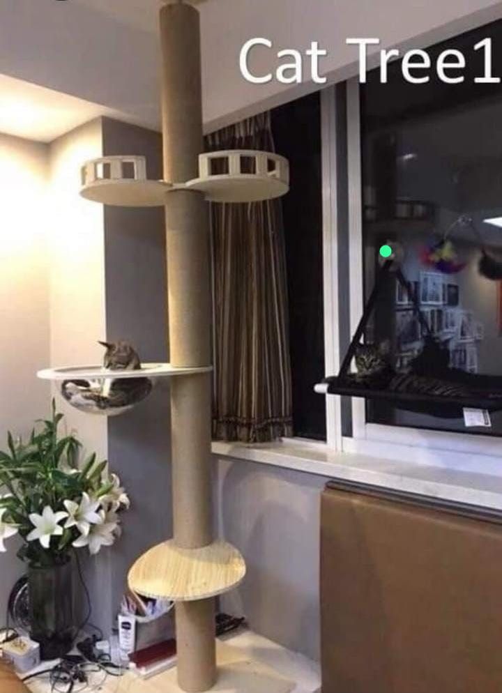 Cat Tree (Category: Homes & Other Pet Accessories) located in Singapore. Submitted by hammiehamham (Listing ID 1433409261, Image 2). Description: 🐾 Designer Cat Towers & Tree (BRAND NEW) — Massive Sale! 🐾 Your cat spends most of their day climbing, scratching and napping — why not give them a proper space for it? 🐱 We've got beautiful Designer Cat Towers & Trees at prices that are hard to say no to 👇 ✨ What makes them great: 🏠 Actually looks