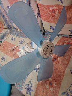 (Category: ) located in . Submitted by rareflower_sengkang (Listing ID 1433427989, Image 1). Description: .