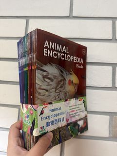 （分類：）位於 。 由 weweewa 提交（商品編號 1433450605，圖片 1）。簡介： 。