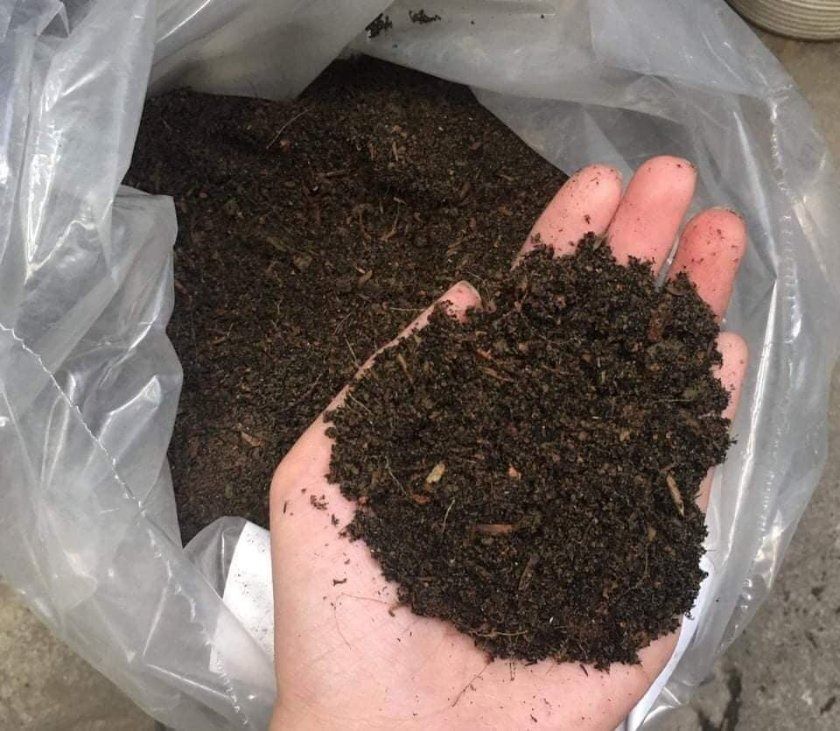 Natural Organic Loam Soil (Category: Plants & Seeds) located in Quezon City. Submitted by IvyRoseGarden (Listing ID 1433442019, Image 2). Description: - High-quality organic loam soil - Rich and dark appearance - Packed with essential nutrients - Promotes healthy plant development - Ready to use for various gardening projects.