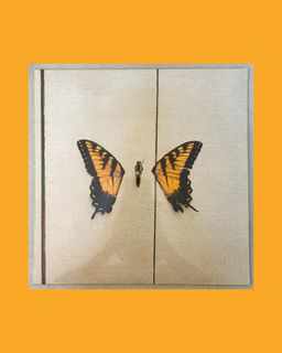 (Category: ) located in . Submitted by justinn.vinyl (Listing ID 1433692867, Image 1). Description: .