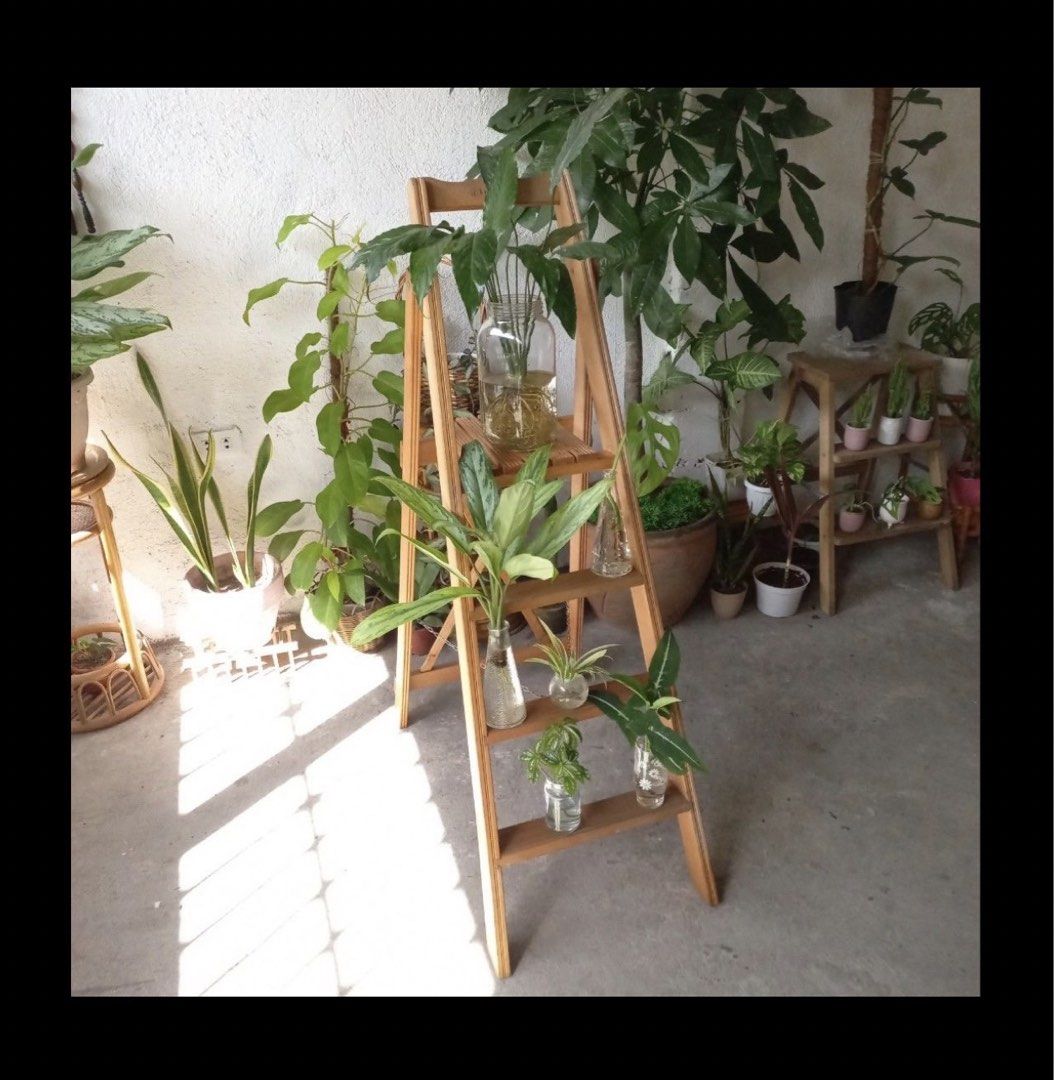 Wooden Folding Ladder (Category: Ladders & Steps) located in Paranaque City. Submitted by lilyandholly (Listing ID 1433661293, Image 3). Description: - Wooden folding ladder or plant display - Features a ladder design with multiple steps - Made of wood with a natural finish - Perfect for indoor and outdoor use.