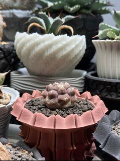 （分類：）位於 。 由 darrrenc 提交（商品編號 1433860600，圖片 1）。簡介： 。
