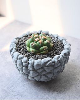 （分類：）位於 。 由 darrrenc 提交（商品編號 1433861471，圖片 1）。簡介： 。