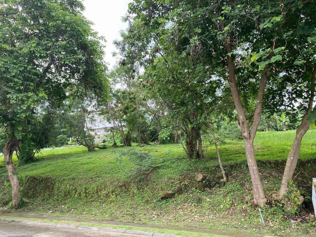 (Category: ) located in . Submitted by everbrightph_09171681688 (Listing ID 1415836542, Image 1). Description: .