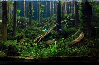 (Category: ) located in . Submitted by zhaniatri31131 (Listing ID 1433911677, Image 1). Description: .