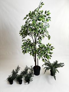 （分類：）位於 。 由 yc.0816 提交（商品編號 1433911776，圖片 1）。簡介： 。