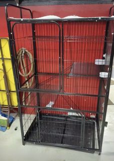(Category: ) located in . Submitted by ffhqa (Listing ID 1433944980, Image 1). Description: .