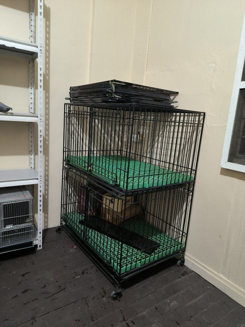2 Tiered Heavy Duty Pet Cage (Category: Homes & Other Pet Accessories) located in Bulacan. Submitted by tripledouble532 (Listing ID 1433985207, Image 2). Description: Design: Features a 2 tiered layout with green plastic flooring and black metal framing. Heavy Duty! Not collapsible. Mobility: Equipped with caster wheels for easy movement. .