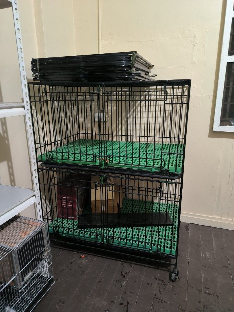 2 Tiered Heavy Duty Pet Cage (Category: Homes & Other Pet Accessories) located in Bulacan. Submitted by tripledouble532 (Listing ID 1433985207, Image 1). Description: Design: Features a 2 tiered layout with green plastic flooring and black metal framing. Heavy Duty! Not collapsible. Mobility: Equipped with caster wheels for easy movement. .