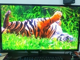 (Category: ) located in . Submitted by epol87 (Listing ID 1434174599, Image 1). Description: .