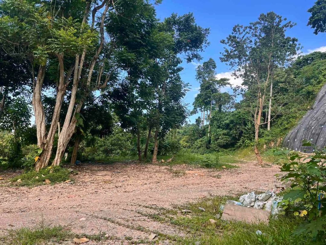 (Category: ) located in . Submitted by phprorealty (Listing ID 1434013386, Image 1). Description: .