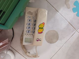 Home telephone