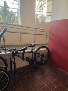 (Category: ) located in . Submitted by plantman809051 (Listing ID 1434083911, Image 1). Description: .