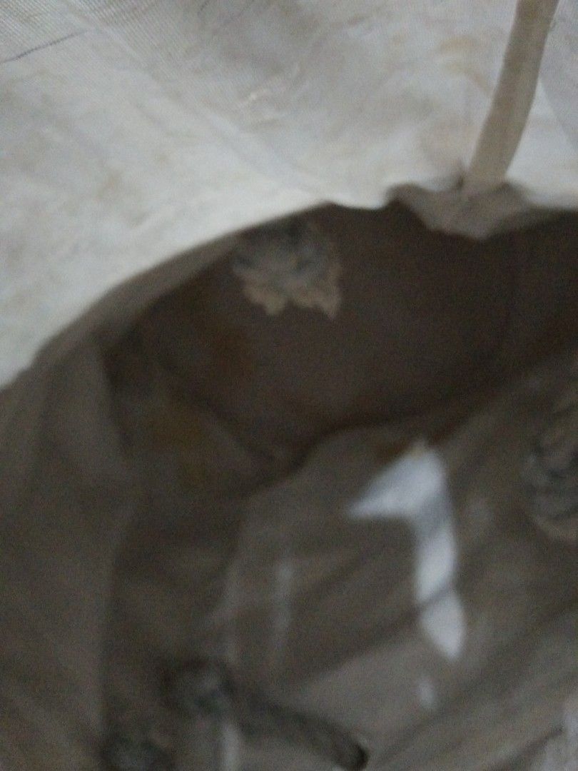 Used hamper needs cleaning large space inside (Category: Laundry Baskets) located in Quezon City. Submitted by eidorableshop (Listing ID 1434113059, Image 1). Description: .