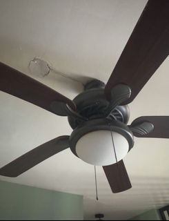 (Category: ) located in . Submitted by sortstudio.___ (Listing ID 1434011162, Image 1). Description: .