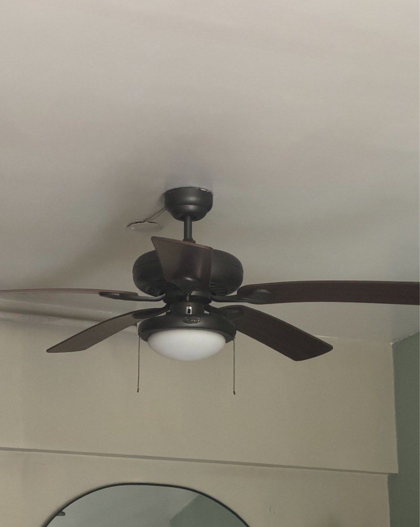 Vintage Westinghouse Ceiling Fan with Light (Category: Fans) located in Quezon City. Submitted by sortstudio.___ (Listing ID 1434011162, Image 3). Description: PLEASE READ: - Westinghouse ceiling fan with integrated light. - Features five dark brown blades. - Dark metal housing. - Frosted glass light cover. - Includes pull chains for fan speed and light control. - Mounted on a white ceiling. - Minor wear visible on blades. HONEST ISSUE: The light