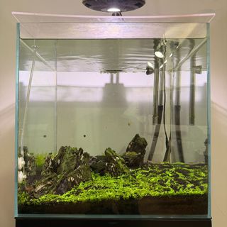 (Category: ) located in . Submitted by julian.9494 (Listing ID 1366988295, Image 1). Description: .
