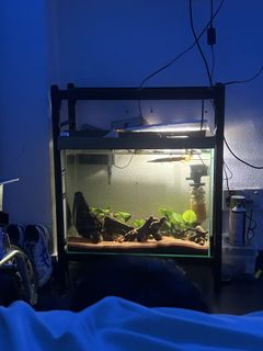(Category: ) located in . Submitted by hello123jdhdhhd (Listing ID 1434226510, Image 1). Description: .