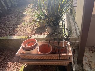 (Category: ) located in . Submitted by ravmat (Listing ID 1434269159, Image 1). Description: .