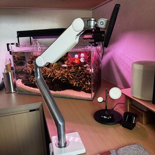 (Category: ) located in . Submitted by dcpydcpy (Listing ID 1434232405, Image 1). Description: .