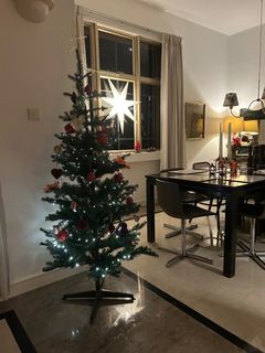 (Category: ) located in . Submitted by siribroberg (Listing ID 1434291334, Image 1). Description: .