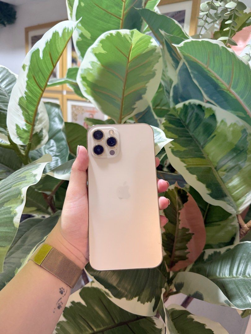 Iphone 12 promax 128gb Gold (Category: iPhone 12 Series) located in Quezon City. Submitted by sa_cci (Listing ID 1434212543, Image 1). Description: Lady owned No Dents/Scratches (Makinis) Screen protected since day 1 Batt Health: 71% No issue Unli test upon meetup RFS: Extra phone Free: Phone Cases ₱18,000 .