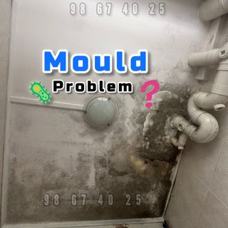 Mould Treatment  Collection item 3