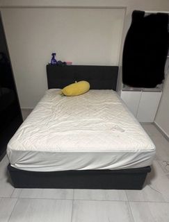 (Category: ) located in . Submitted by astella3 (Listing ID 1434265394, Image 1). Description: .