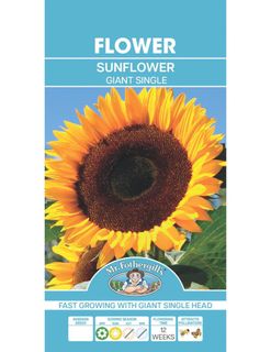 (Category: ) located in . Submitted by seletar_plants (Listing ID 1434193125, Image 1). Description: .