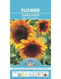 (Category: ) located in . Submitted by seletar_plants (Listing ID 1434191948, Image 1). Description: .